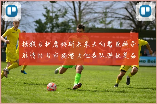 杨毅分析詹姆斯未来去向需兼顾争冠情怀与市场潜力但各队现状复杂