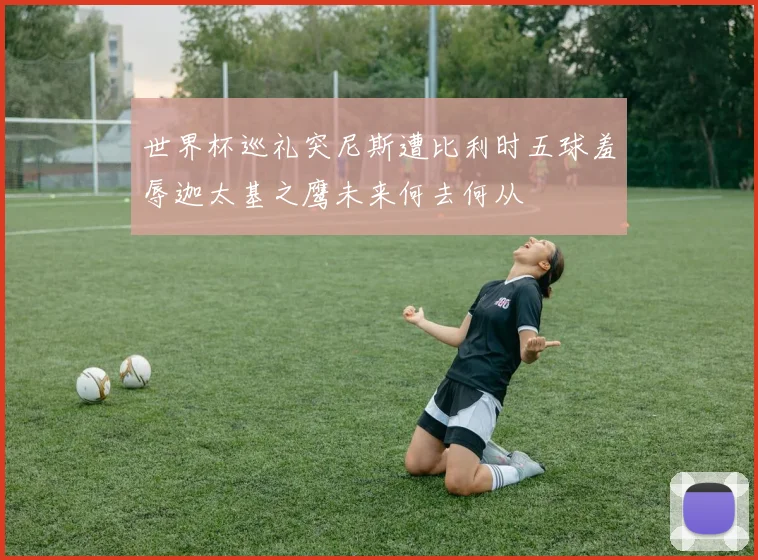世界杯巡礼突尼斯遭比利时五球羞辱迦太基之鹰未来何去何从