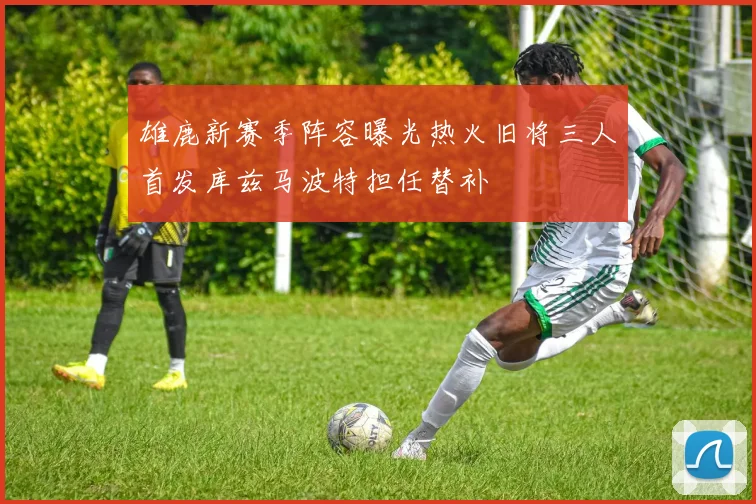 雄鹿新赛季阵容曝光热火旧将三人首发库兹马波特担任替补