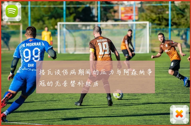 格瓦谈伤病期间的压力与阿森纳争冠的无奈替补经历